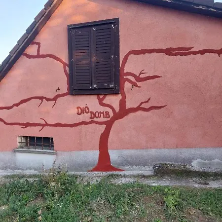 Diodomb Apartmann * Koveskal
