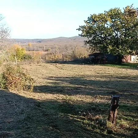 Diodomb Apartmann Köveskál